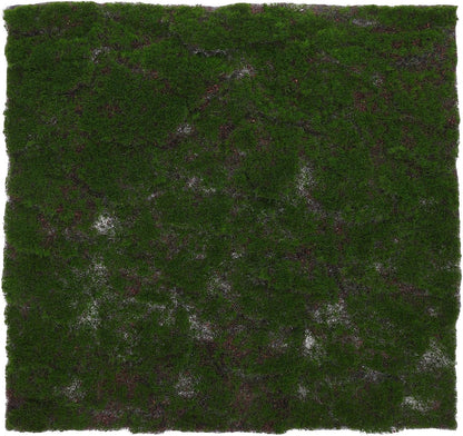 Artificial Moss Grass Turf Mat 30cm X 30cm Green Moss Patch for Terrarium Bonsai Reptile Habitat Indoor Decorative Faux Moss Carpet