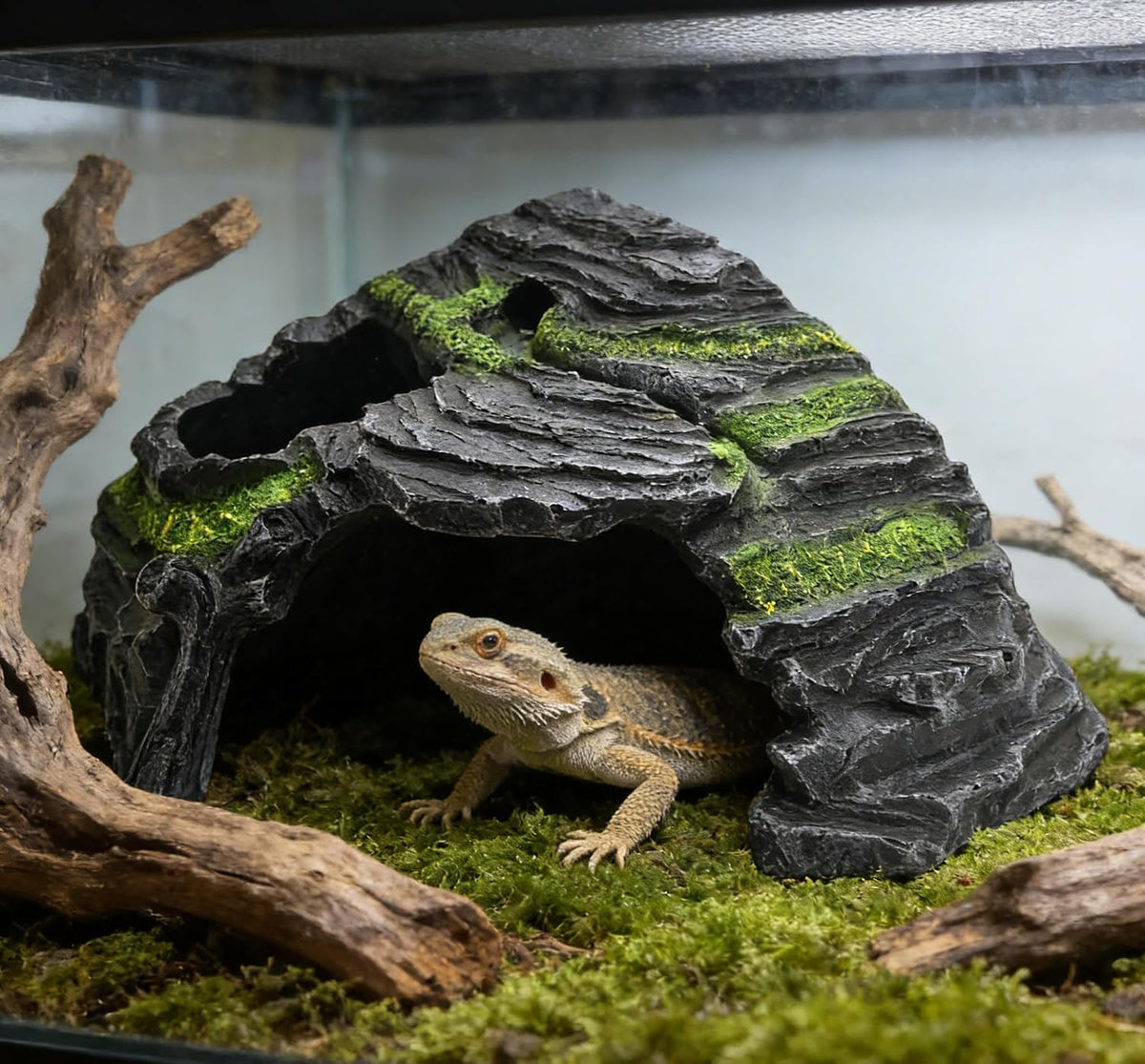 Reptile Hideout Cave Resin Rock Hides Terrarium Habitat Decor(Floating Island)