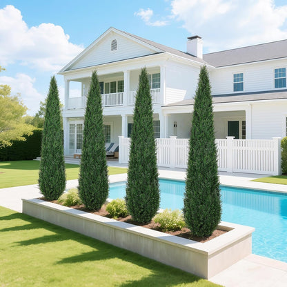 6FT Artificial Cedar Topiary Trees for Outdoors UV Resistant Set of 2