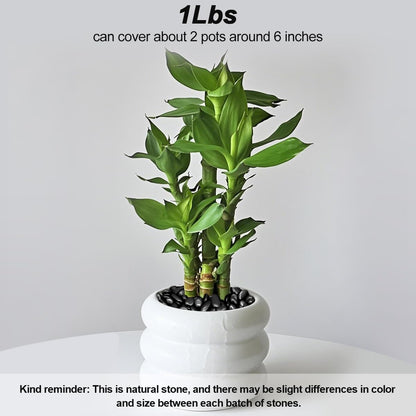 River Rocks, Decorative Ornamental Pebbles,Garden Landscaping Stones,Gravel Filler for Home Decoration Flower Bed Fish Tank Plants Vases Succulents