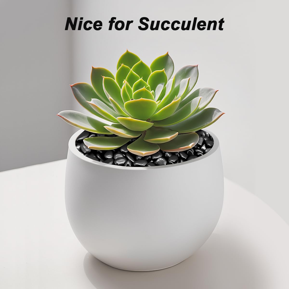 River Rocks, Decorative Ornamental Pebbles,Garden Landscaping Stones,Gravel Filler for Home Decoration Flower Bed Fish Tank Plants Vases Succulents