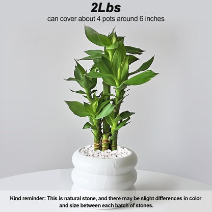 River Rocks, Decorative Ornamental Pebbles,Garden Landscaping Stones,Gravel Filler for Home Decoration Flower Bed Fish Tank Plants Vases Succulents
