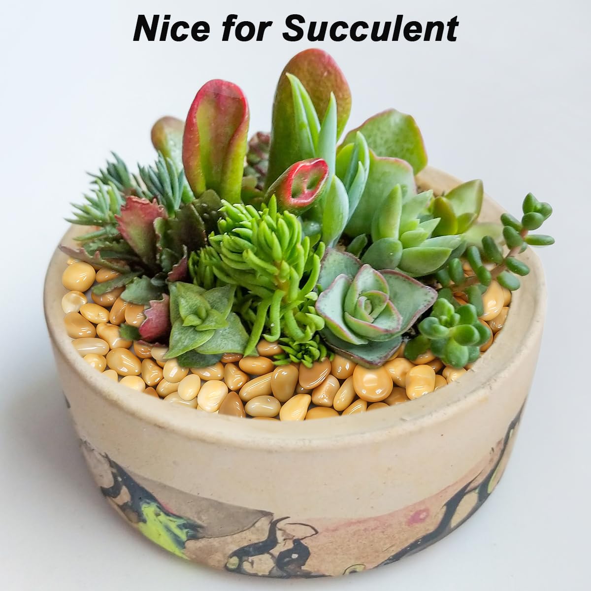 River Rocks, Decorative Ornamental Pebbles,Garden Landscaping Stones,Gravel Filler for Home Decoration Flower Bed Fish Tank Plants Vases Succulents
