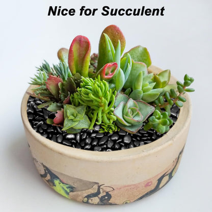 River Rocks, Decorative Ornamental Pebbles,Garden Landscaping Stones,Gravel Filler for Home Decoration Flower Bed Fish Tank Plants Vases Succulents