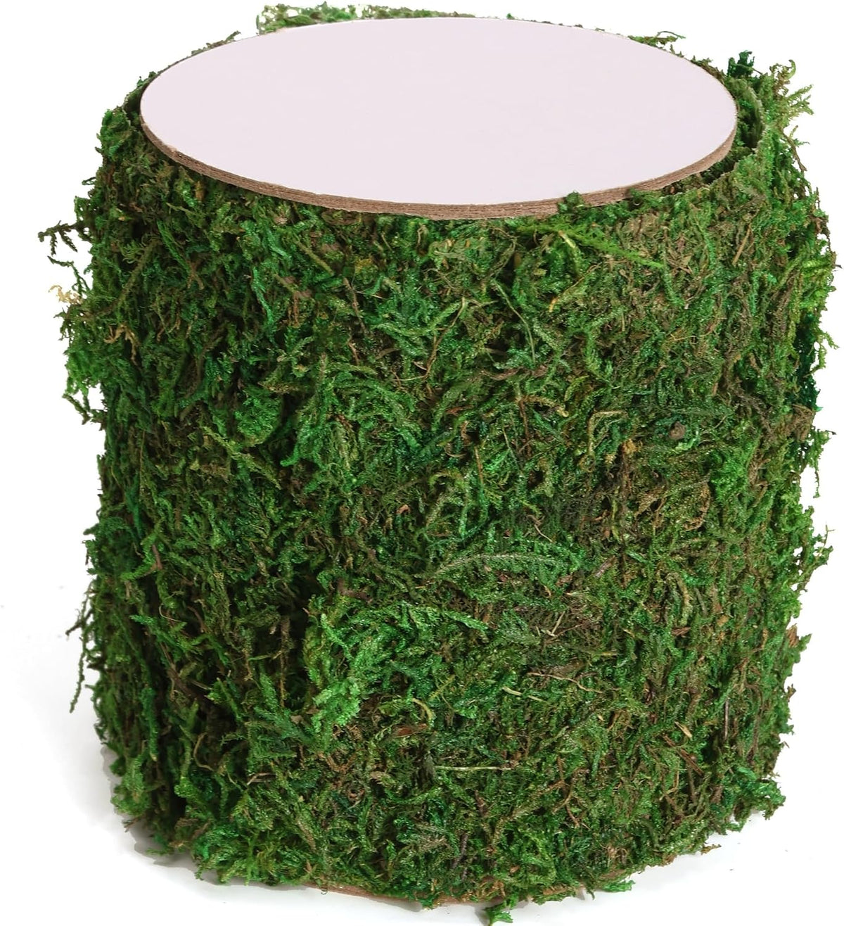 Moss Roll, Dried Moss for Crafts, Moss Table Runner for Fairy Gardens, Wedding Woodland Decor, Preserved Moss Mat for Table Decoration (12" W x 60" L)