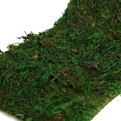 Moss Roll, Dried Moss for Crafts, Moss Table Runner for Fairy Gardens, Wedding Woodland Decor, Preserved Moss Mat for Table Decoration (12" W x 60" L)