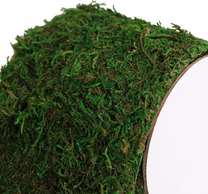 Moss Roll, Dried Moss for Crafts, Moss Table Runner for Fairy Gardens, Wedding Woodland Decor, Preserved Moss Mat for Table Decoration (12" W x 60" L)