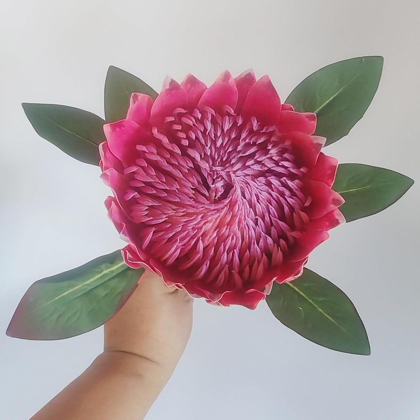 1 Pcs 55 CM the King Protea (Protea Cynaroides) Artificial Flowers Plants for Home Garden Wedding Party Decoration (Rose Red)