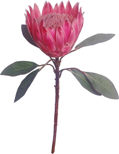 1 Pcs 55 CM the King Protea (Protea Cynaroides) Artificial Flowers Plants for Home Garden Wedding Party Decoration (Rose Red)