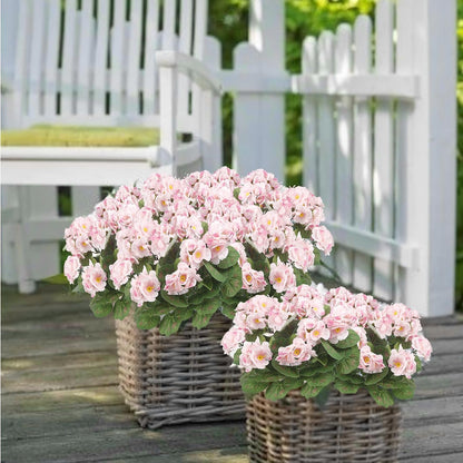 2 Pcs Artificial Geranium Flowers for Outdoors Silk Flowers Outside UV Resistant Red Fake Geraniums Bush Faux Flowers for Planter Outdoor Decor Indoor Garden Patio Table Centerpiece