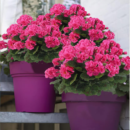 2 Pcs Artificial Geranium Flowers for Outdoors Silk Flowers Outside UV Resistant Red Fake Geraniums Bush Faux Flowers for Planter Outdoor Decor Indoor Garden Patio Table Centerpiece