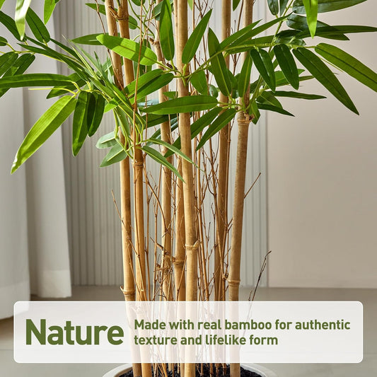 Fake Bamboo Plants - 6.5FT Tall Artificial Bamboo Tree with White Planter and Real Wood Poles - Lifelike Silk Faux Potted Plants for Indoor Home Office Decor