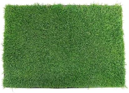 Gotta Go Grass for Small Animals – Natural Real Grass Bedding & Pet Resting Pad, Grass Potty Pad for Rabbits, Guinea Pigs, Hamsters, and Small Pets, Odor Absorbent Grass Mat (Refill Pack 16" x 24")