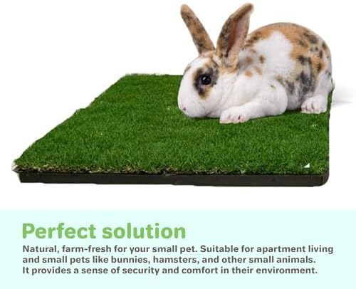 Gotta Go Grass for Small Animals – Natural Real Grass Bedding & Pet Resting Pad, Grass Potty Pad for Rabbits, Guinea Pigs, Hamsters, and Small Pets, Odor Absorbent Grass Mat (Refill Pack 16" x 24")
