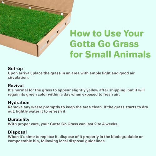 Gotta Go Grass for Small Animals – Natural Real Grass Bedding & Pet Resting Pad, Grass Potty Pad for Rabbits, Guinea Pigs, Hamsters, and Small Pets, Odor Absorbent Grass Mat (Refill Pack 16" x 24")