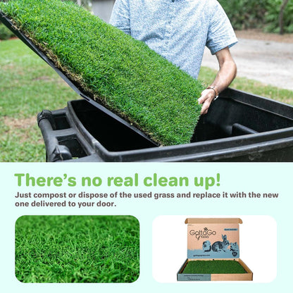 Gotta Go Grass for Small Animals – Natural Real Grass Bedding & Pet Resting Pad, Grass Potty Pad for Rabbits, Guinea Pigs, Hamsters, and Small Pets, Odor Absorbent Grass Mat (Refill Pack 16" x 24")