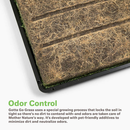 Gotta Go Grass for Small Animals – Natural Real Grass Bedding & Pet Resting Pad, Grass Potty Pad for Rabbits, Guinea Pigs, Hamsters, and Small Pets, Odor Absorbent Grass Mat (Refill Pack 16" x 24")