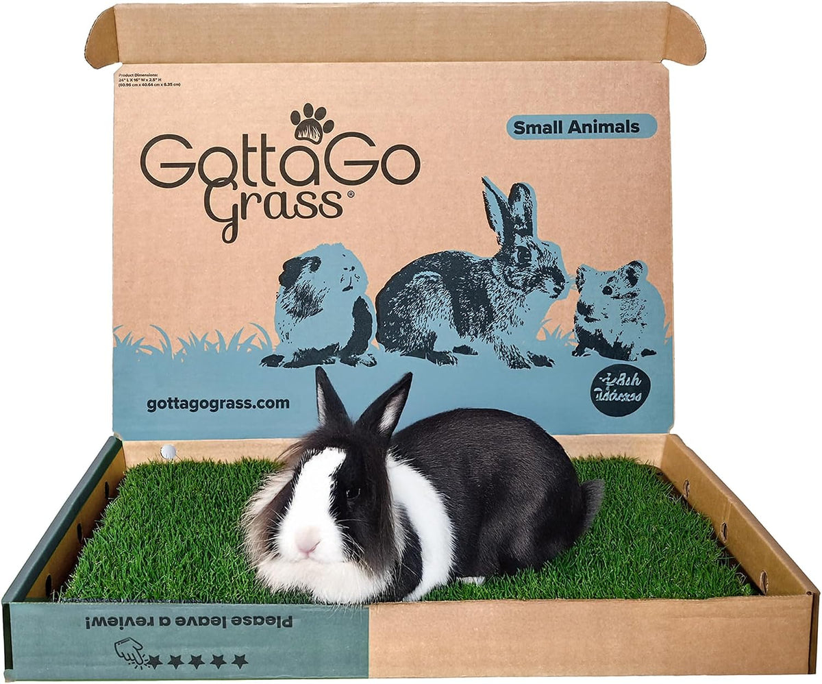 Gotta Go Grass for Small Animals – Natural Real Grass Bedding & Pet Resting Pad, Grass Potty Pad for Rabbits, Guinea Pigs, Hamsters, and Small Pets, Odor Absorbent Grass Mat (Refill Pack 16" x 24")
