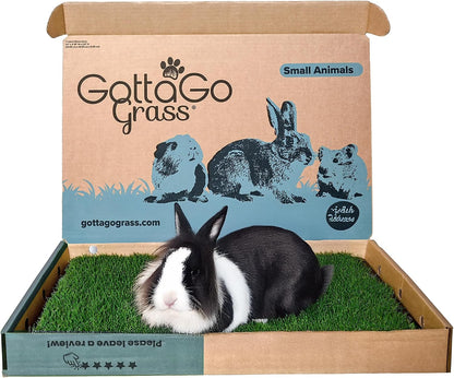 Gotta Go Grass for Small Animals – Natural Real Grass Bedding & Pet Resting Pad, Grass Potty Pad for Rabbits, Guinea Pigs, Hamsters, and Small Pets, Odor Absorbent Grass Mat (Refill Pack 16" x 24")