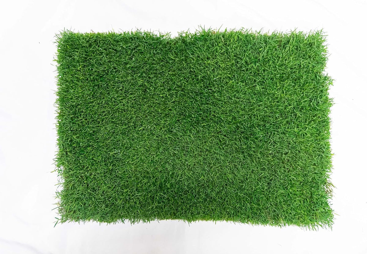 Gotta Go Grass for Small Animals – Natural Real Grass Bedding & Pet Resting Pad, Grass Potty Pad for Rabbits, Guinea Pigs, Hamsters, and Small Pets, Odor Absorbent Grass Mat (Refill Pack 16" x 24")