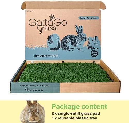 Gotta Go Grass for Small Animals – Natural Real Grass Bedding & Pet Resting Pad, Grass Potty Pad for Rabbits, Guinea Pigs, Hamsters, and Small Pets, Odor Absorbent Grass Mat (Refill Pack 16" x 24")