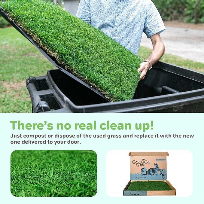 Gotta Go Grass for Small Animals – Natural Real Grass Bedding & Pet Resting Pad, Grass Potty Pad for Rabbits, Guinea Pigs, Hamsters, and Small Pets, Odor Absorbent Grass Mat (Refill Pack 16" x 24")