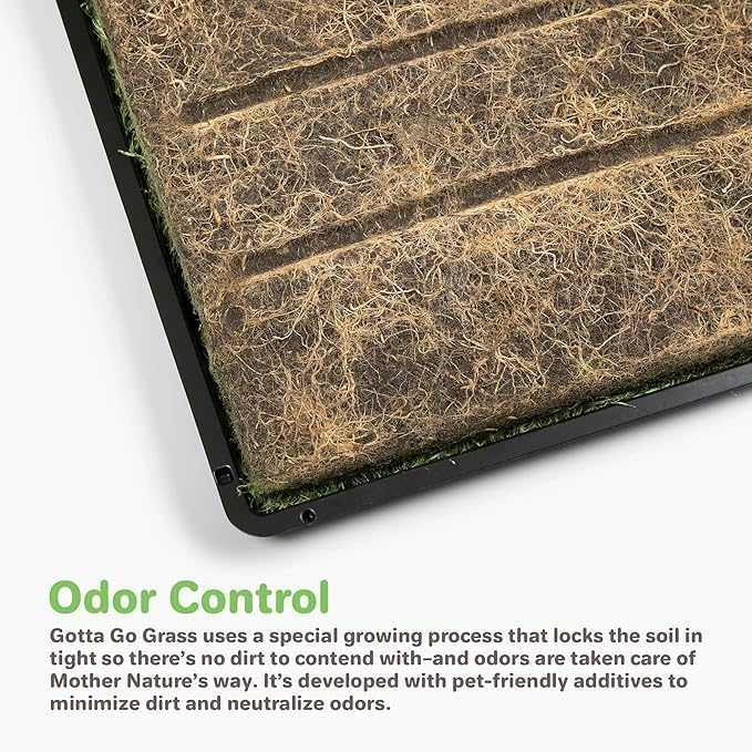 Gotta Go Grass for Small Animals – Natural Real Grass Bedding & Pet Resting Pad, Grass Potty Pad for Rabbits, Guinea Pigs, Hamsters, and Small Pets, Odor Absorbent Grass Mat (Refill Pack 16" x 24")