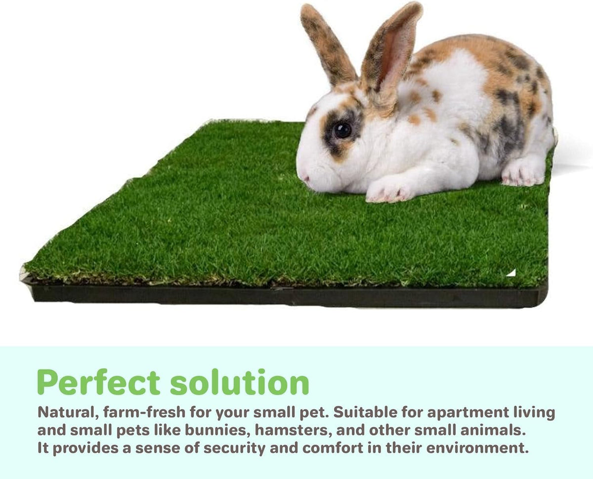 Gotta Go Grass for Small Animals – Natural Real Grass Bedding & Pet Resting Pad, Grass Potty Pad for Rabbits, Guinea Pigs, Hamsters, and Small Pets, Odor Absorbent Grass Mat (Refill Pack 16" x 24")
