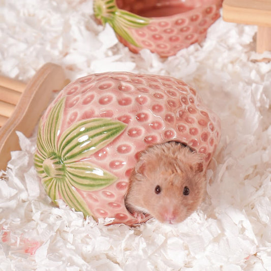 Ceramic Hamster Hideout Strawberry Chew Proof Syrian Hide Cool Bed