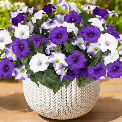 Artificial Flowers for Outdoors, Faux Petunias Spring Summer Decoration, Fake Flowers Plants UV Resistant Look Real Silk Flowers for Outside Planter Front Door Porch Patio Yard (6, White)