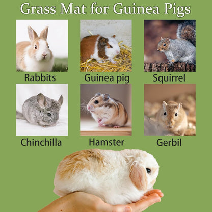 Rabbit Grass Mat,Natural Bunny Grass Mat Woven,Pet Bed Nest Mats Rabbits Chew Toys for Hamsters Parrot Rabbits Hedgehog Guinea Pig Chick and Other Small Animals Hay Mat Sleeping