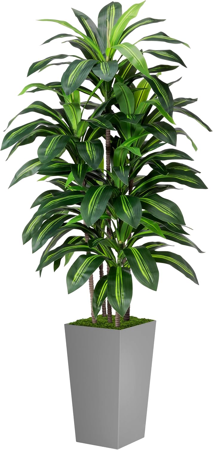 Artificial Plant 5FT Dracaena Fake Tree with White Tall Planter