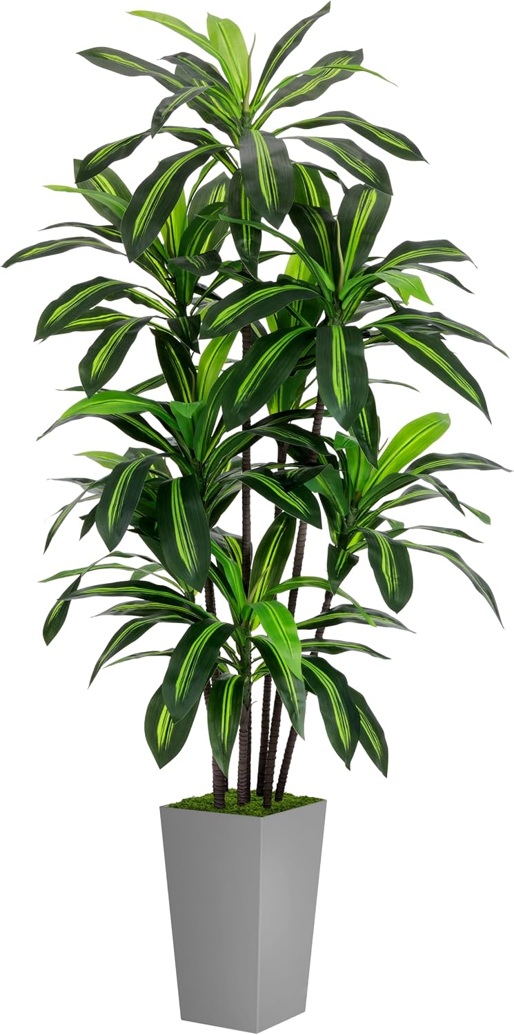 Artificial Plant 5FT Dracaena Fake Tree with White Tall Planter