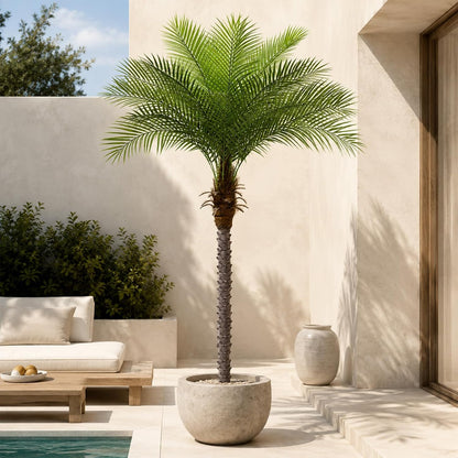 7ft Artificial Phoenix Palm Tree, Faux Coconut Silk Tropical Fake Palm Plant for Indoor Outdoor Home Office Patio Bathroom Pool Coastal Decor(Set of 2)