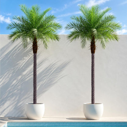 7ft Artificial Phoenix Palm Tree, Faux Coconut Silk Tropical Fake Palm Plant for Indoor Outdoor Home Office Patio Bathroom Pool Coastal Decor(Set of 2)