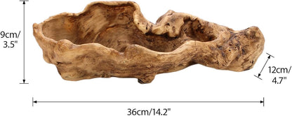 Holder in Driftwood for Indoor Decoration