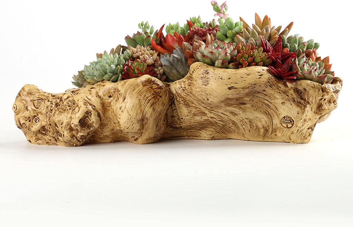 Holder in Driftwood for Indoor Decoration