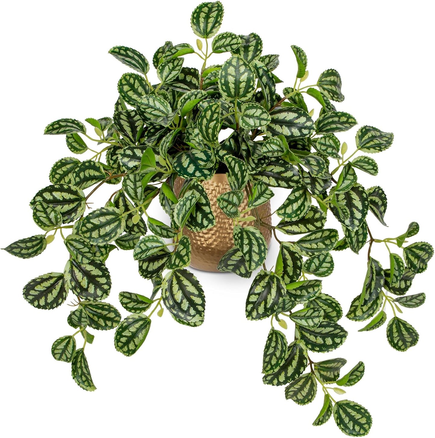 Artificial Potted Plant Indoor, 17.7" Faux Watermelon Peperomia Trailing Plant in White Plastic Pot Realistic Fake Cascading Greenery for Shelf Bathroom Office Desk Tabletop Home Decor