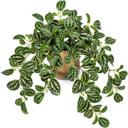 Artificial Potted Plant Indoor, 17.7" Faux Watermelon Peperomia Trailing Plant in White Plastic Pot Realistic Fake Cascading Greenery for Shelf Bathroom Office Desk Tabletop Home Decor