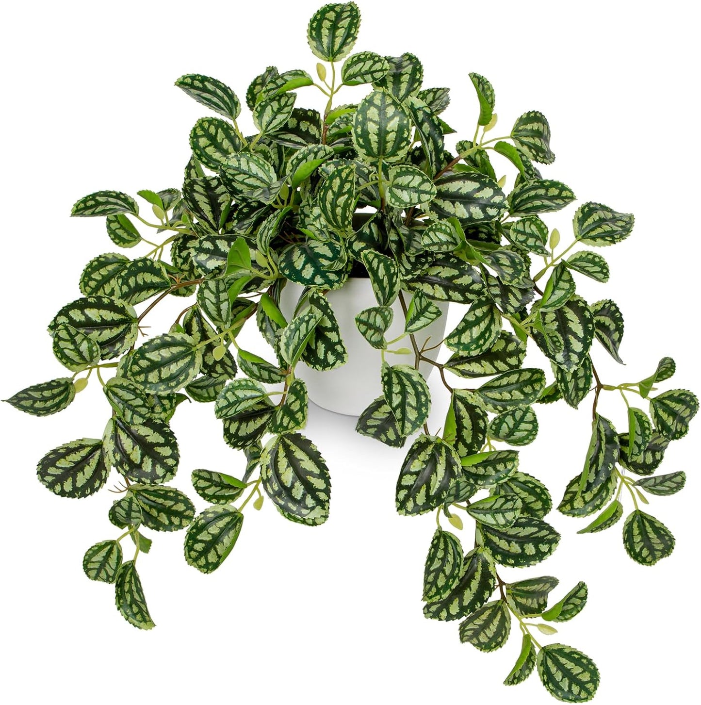 Artificial Potted Plant Indoor, 17.7" Faux Watermelon Peperomia Trailing Plant in White Plastic Pot Realistic Fake Cascading Greenery for Shelf Bathroom Office Desk Tabletop Home Decor
