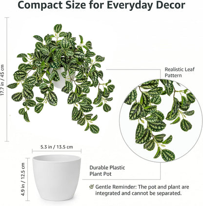 Artificial Potted Plant Indoor, 17.7" Faux Watermelon Peperomia Trailing Plant in White Plastic Pot Realistic Fake Cascading Greenery for Shelf Bathroom Office Desk Tabletop Home Decor