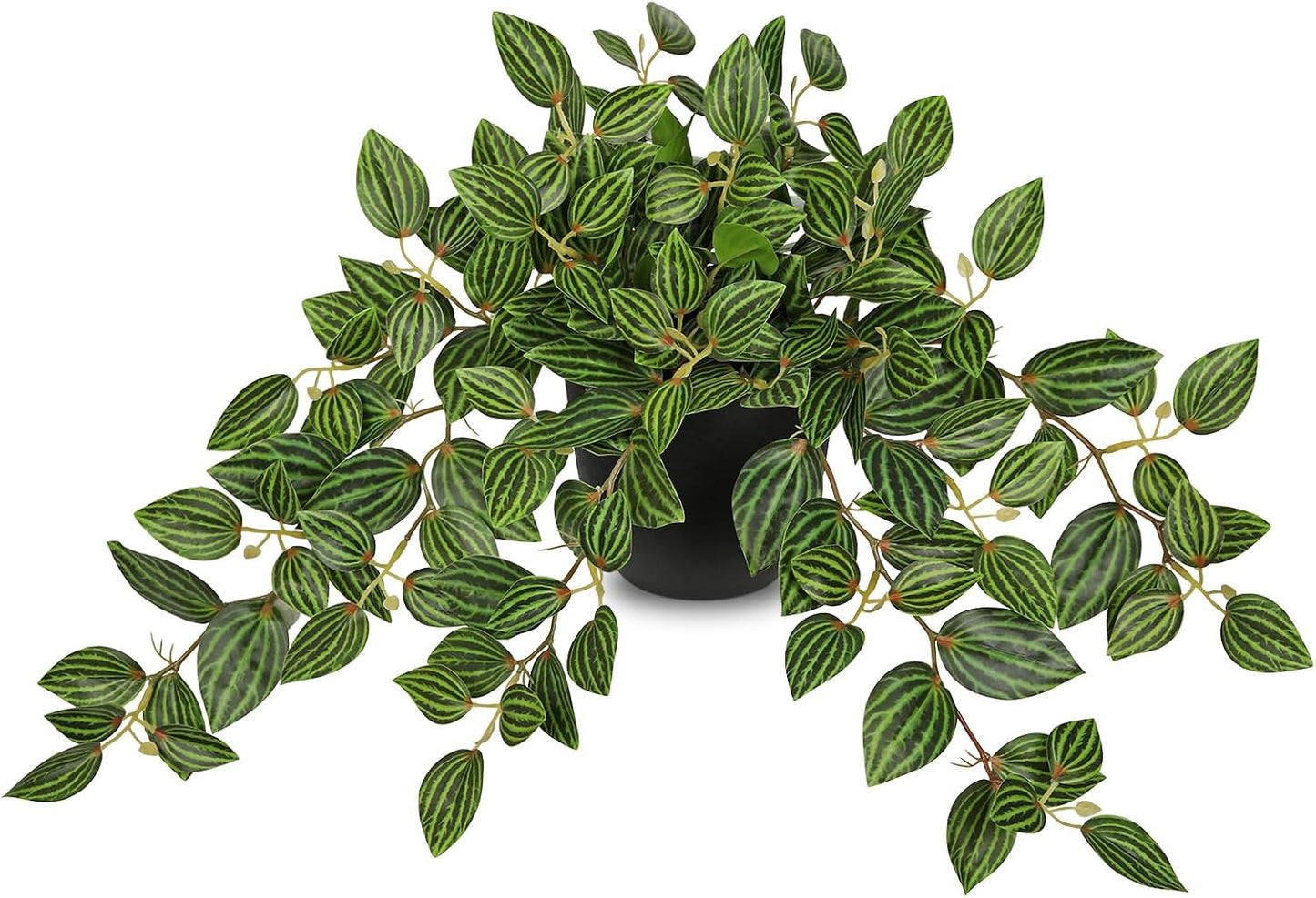 Artificial Potted Plant Indoor, 17.7" Faux Watermelon Peperomia Trailing Plant in White Plastic Pot Realistic Fake Cascading Greenery for Shelf Bathroom Office Desk Tabletop Home Decor