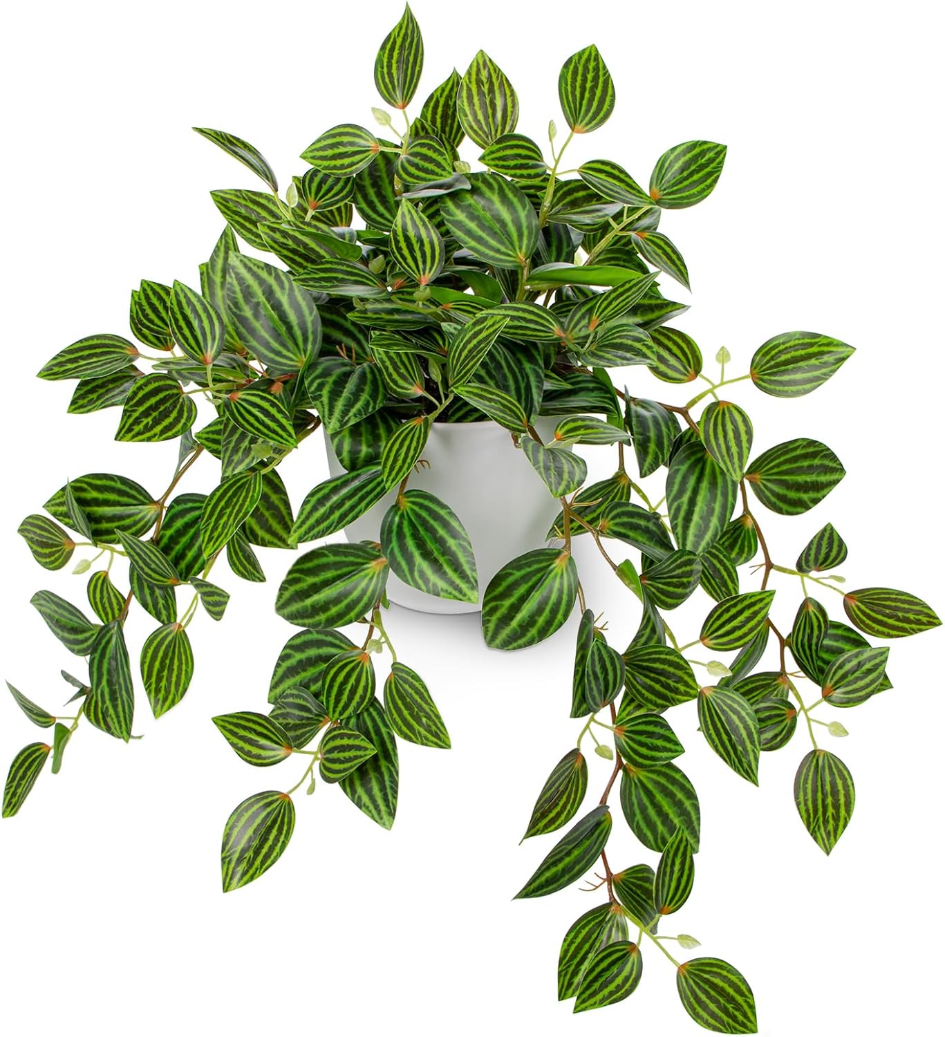 Artificial Potted Plant Indoor, 17.7" Faux Watermelon Peperomia Trailing Plant in White Plastic Pot Realistic Fake Cascading Greenery for Shelf Bathroom Office Desk Tabletop Home Decor