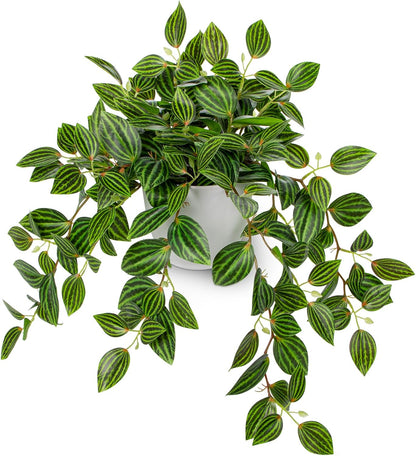 Artificial Potted Plant Indoor, 17.7" Faux Watermelon Peperomia Trailing Plant in White Plastic Pot Realistic Fake Cascading Greenery for Shelf Bathroom Office Desk Tabletop Home Decor