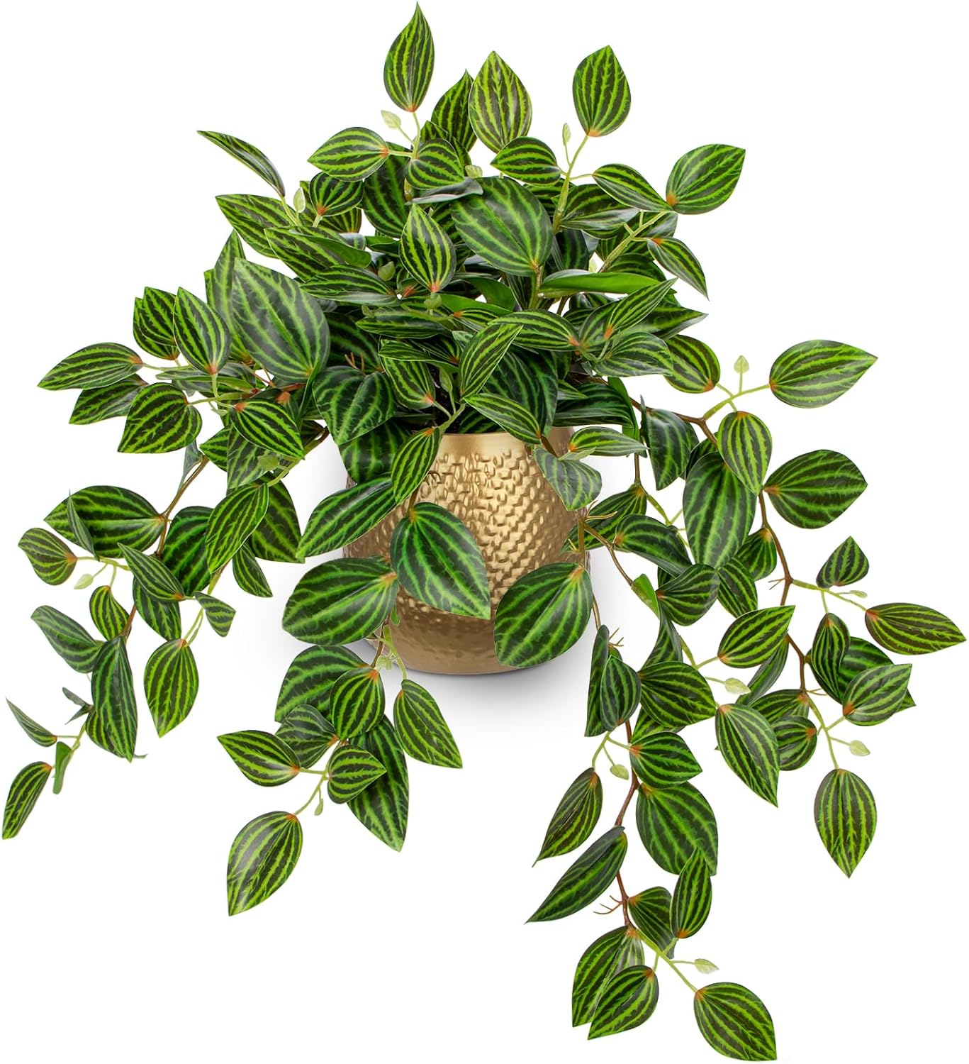 Artificial Potted Plant Indoor, 17.7" Faux Watermelon Peperomia Trailing Plant in White Plastic Pot Realistic Fake Cascading Greenery for Shelf Bathroom Office Desk Tabletop Home Decor