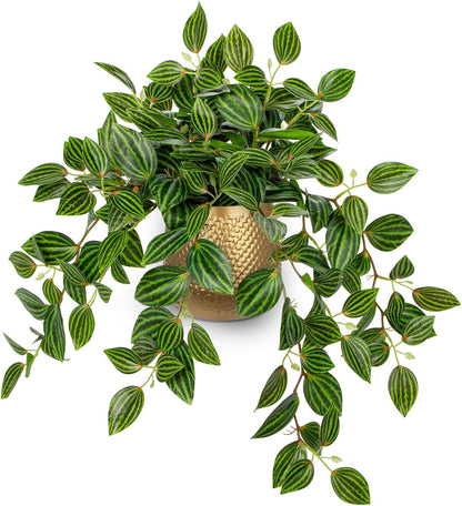 Artificial Potted Plant Indoor, 17.7" Faux Watermelon Peperomia Trailing Plant in White Plastic Pot Realistic Fake Cascading Greenery for Shelf Bathroom Office Desk Tabletop Home Decor