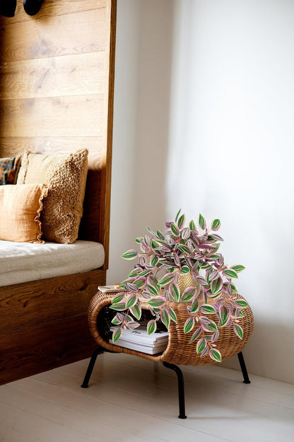 Artificial Potted Plant Indoor, 17.7" Faux Watermelon Peperomia Trailing Plant in White Plastic Pot Realistic Fake Cascading Greenery for Shelf Bathroom Office Desk Tabletop Home Decor