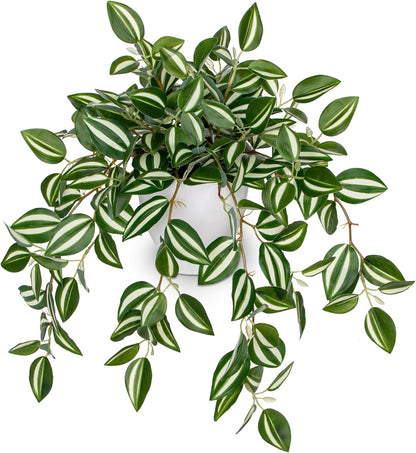 Artificial Potted Plant Indoor, 17.7" Faux Watermelon Peperomia Trailing Plant in White Plastic Pot Realistic Fake Cascading Greenery for Shelf Bathroom Office Desk Tabletop Home Decor