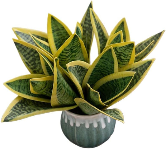 4 Pcs Artificial Snake Plants,Faux Snake Plant 7.48" Tropical Fake Plants Mini Tongue Plant for Home, Office & Garden Décor,Without Vase (Greenish-Yellow)