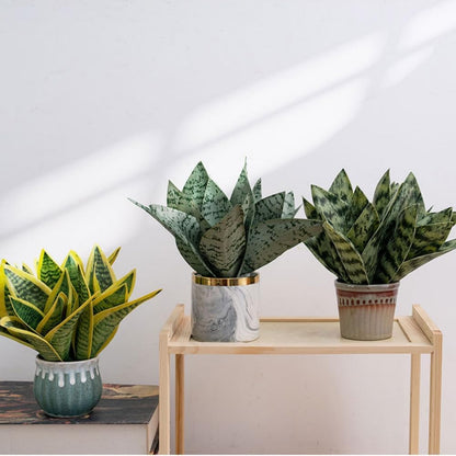 4 Pcs Artificial Snake Plants,Faux Snake Plant 7.48" Tropical Fake Plants Mini Tongue Plant for Home, Office & Garden Décor,Without Vase (Greenish-Yellow)